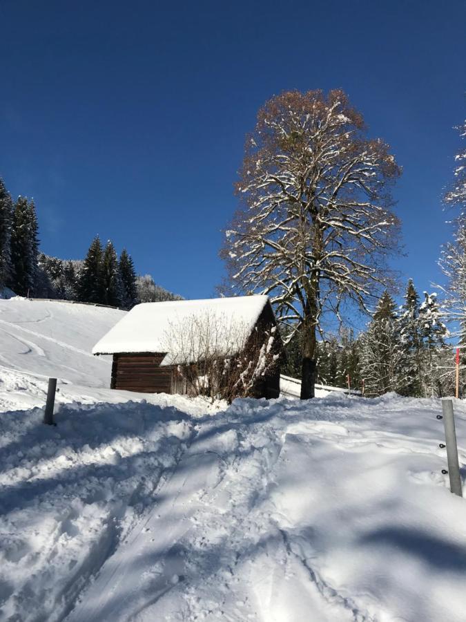 Kaiserblick Goisern Бад-Гойзерн Екстер'єр фото